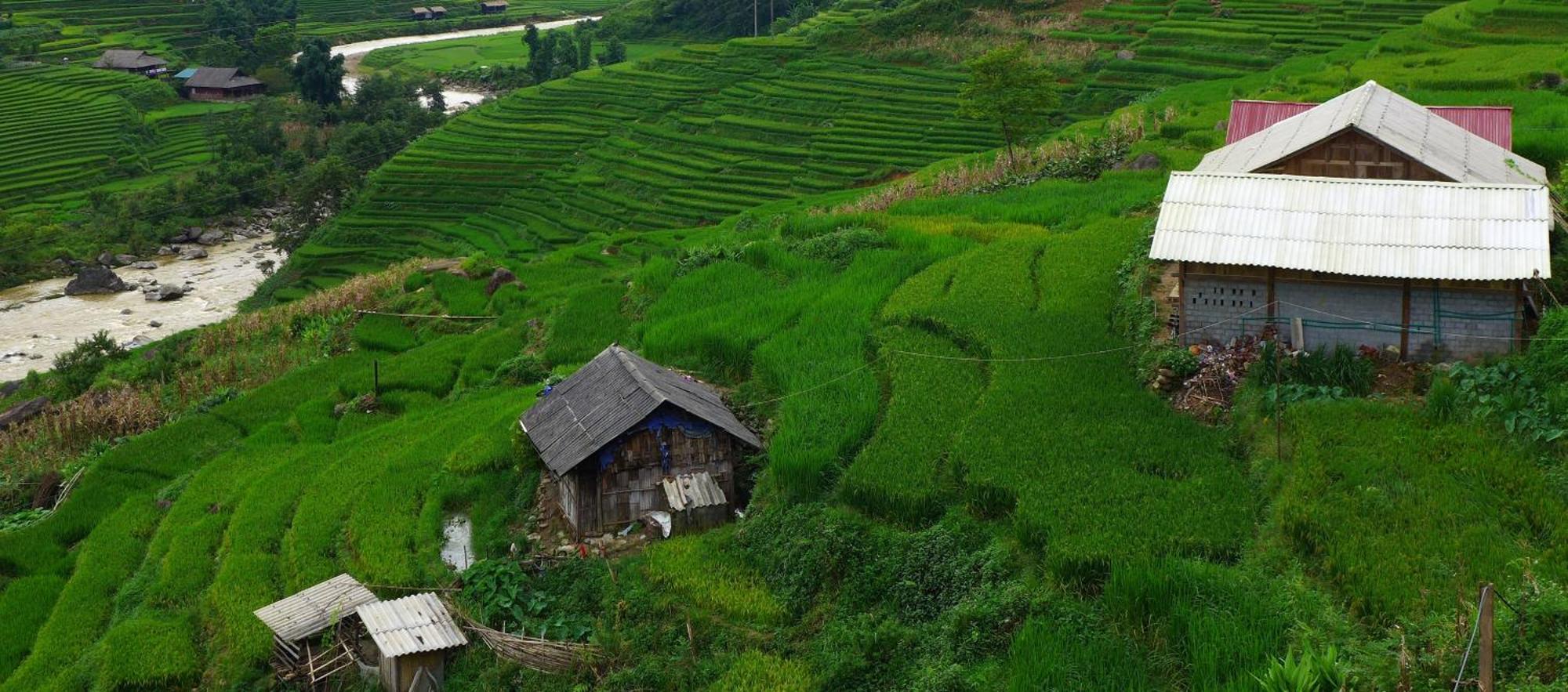 Freedom Homestay & Trekking Sa Pa Esterno foto