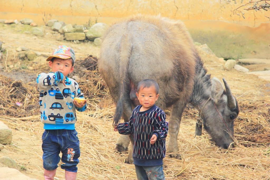 Freedom Homestay & Trekking Sa Pa Esterno foto