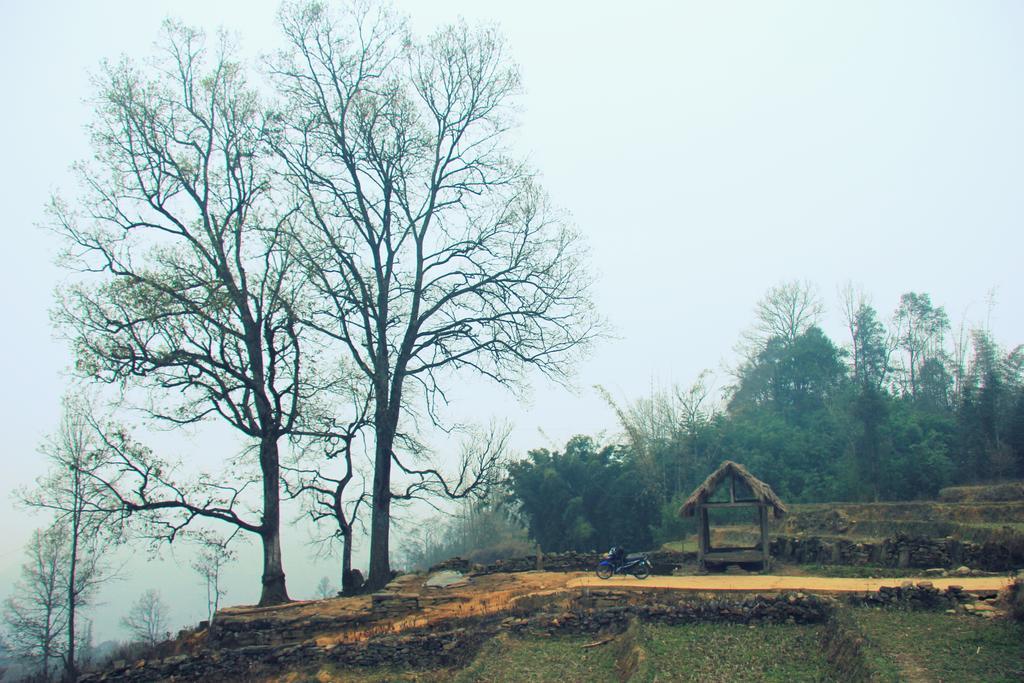 Freedom Homestay & Trekking Sa Pa Esterno foto