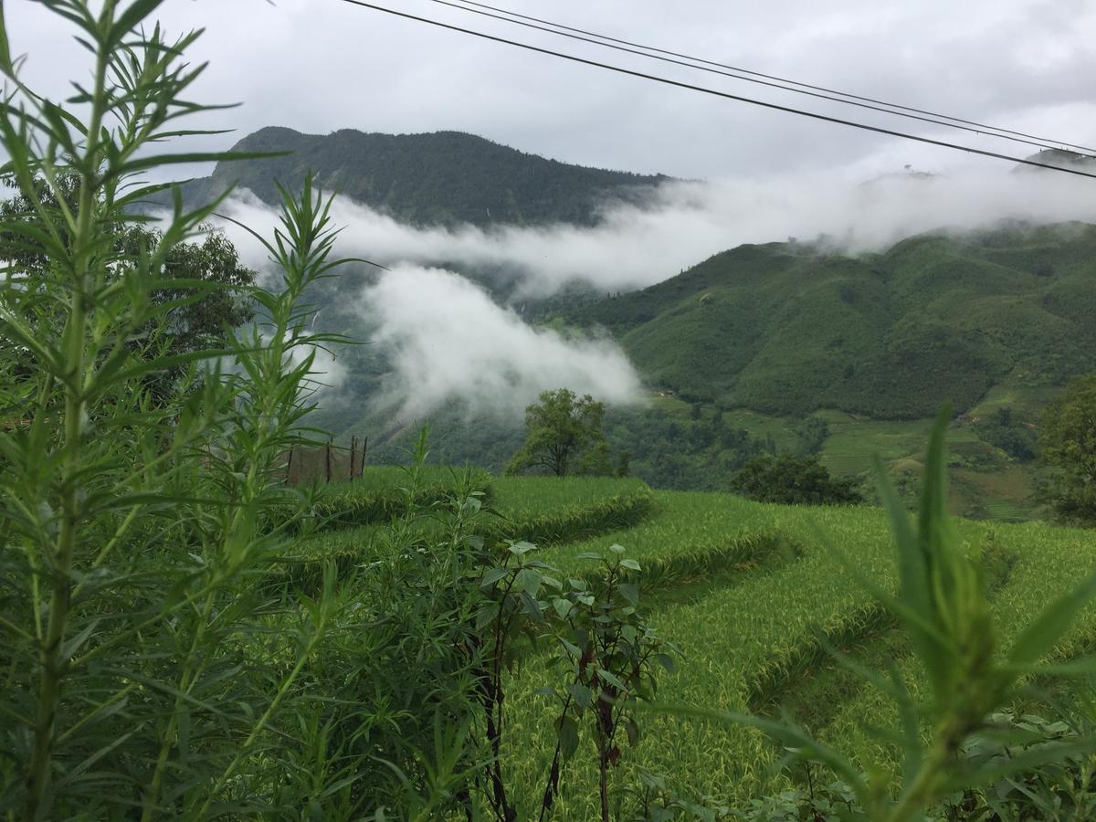 Freedom Homestay & Trekking Sa Pa Esterno foto